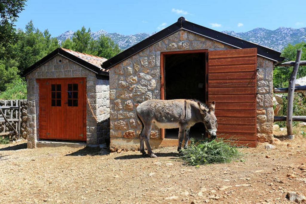 Stone House Magarac Daire Seline Dış mekan fotoğraf